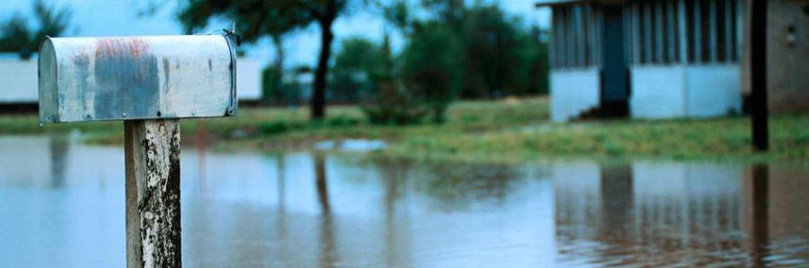 Flood Vision Psychology Brisbane