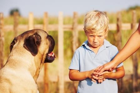 Animal Phobia in Children | Vision Psychology Brisbane