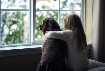 Bringing Trauma into the Open