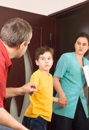 Domestic and Family Violence: The Male Perspective