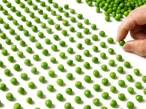 OCD and Nutrition