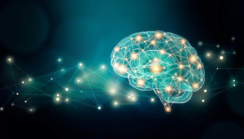 Neuroscience of the Impact of Trauma on the Developing Brain